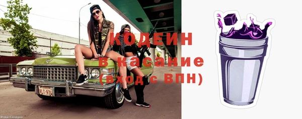 прущие грибы Инсар