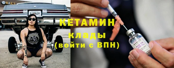 прущие грибы Инсар