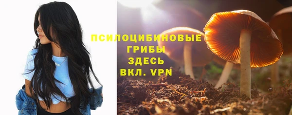 прущие грибы Инсар