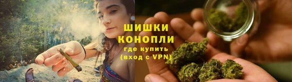 индика Ветлуга
