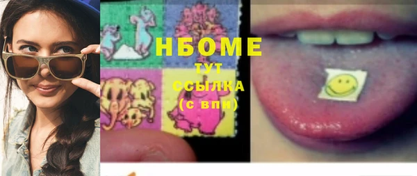 прущие грибы Инсар