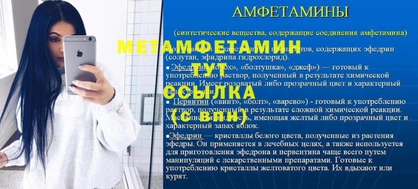 прущие грибы Инсар