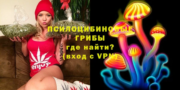 прущие грибы Инсар