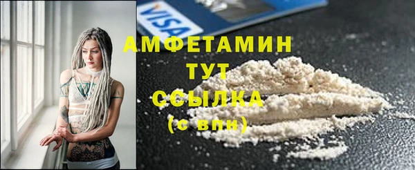 прущие грибы Инсар
