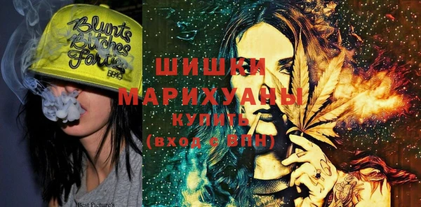 прущие грибы Инсар