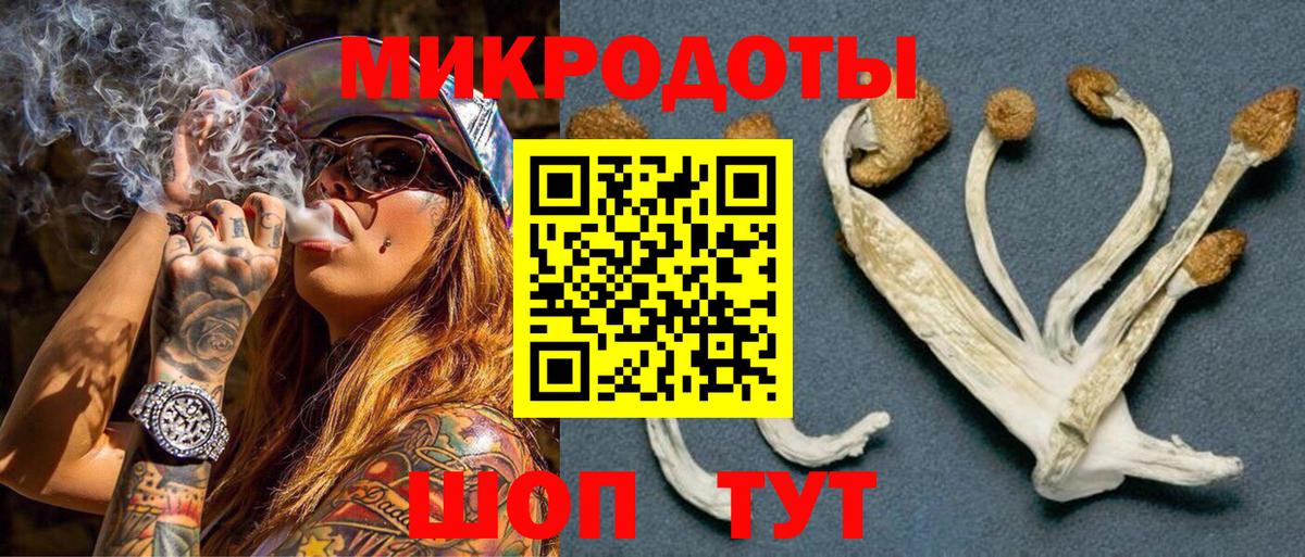 Псилоцибиновые грибы Magic Shrooms Кизляр