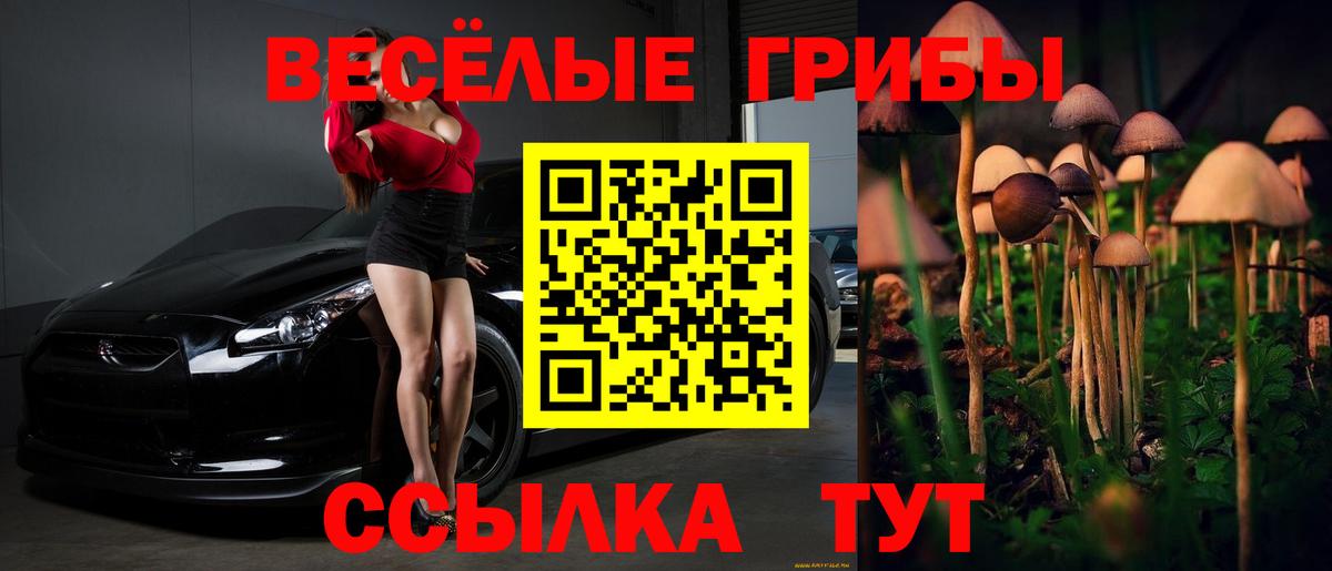 Кизляр  Псилоцибиновые грибы ЛСД  Вход с VPN 